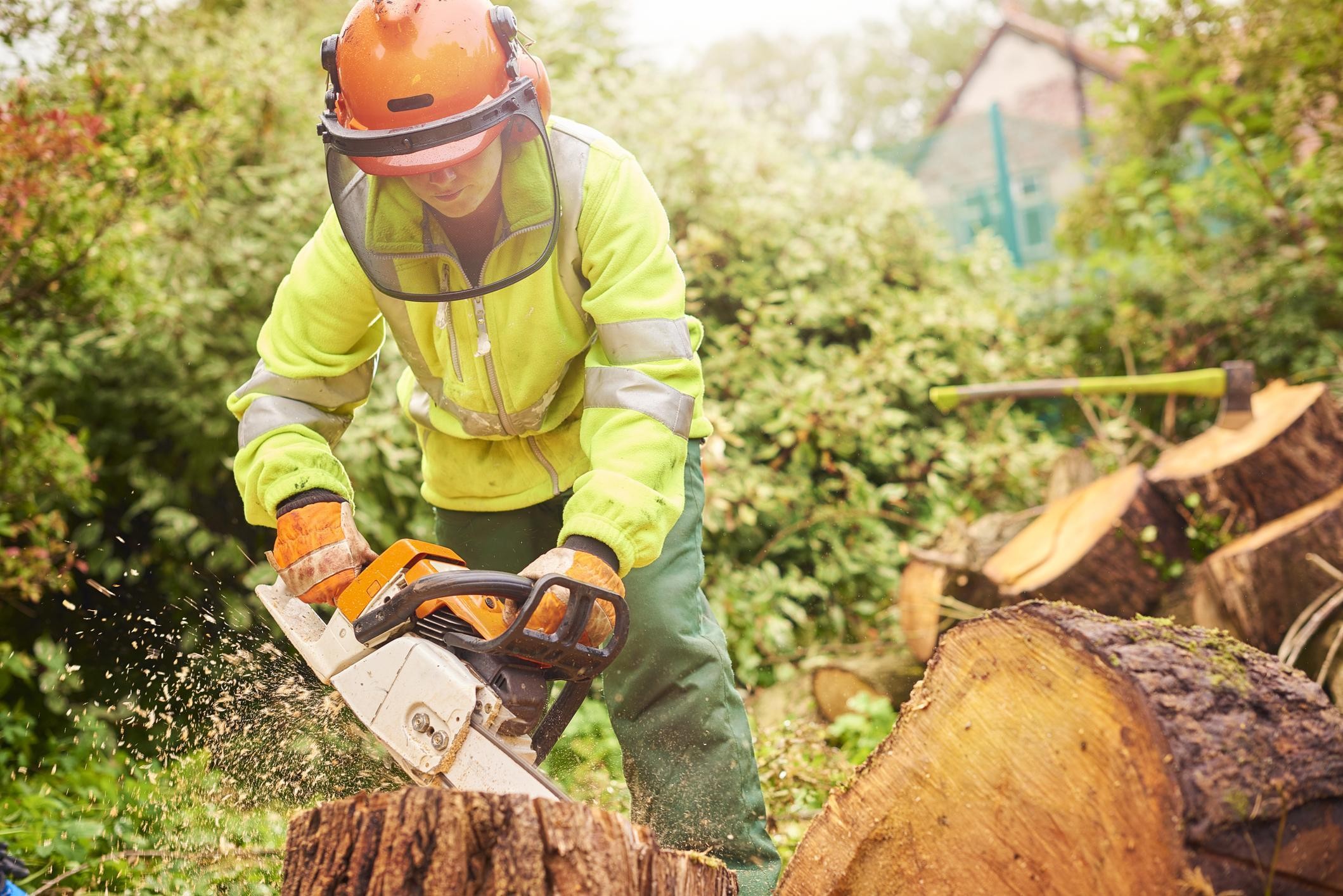 Tree Felling Pros, Tree Cutting Service, Tree Trimming Service, Tree Removal Service
